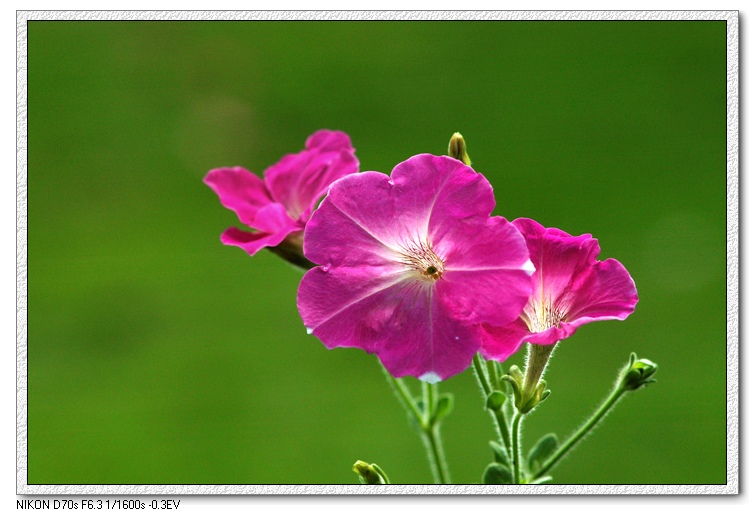 热烈祝贺乌皮驴友发起并成立“天台驴友俱乐部”
