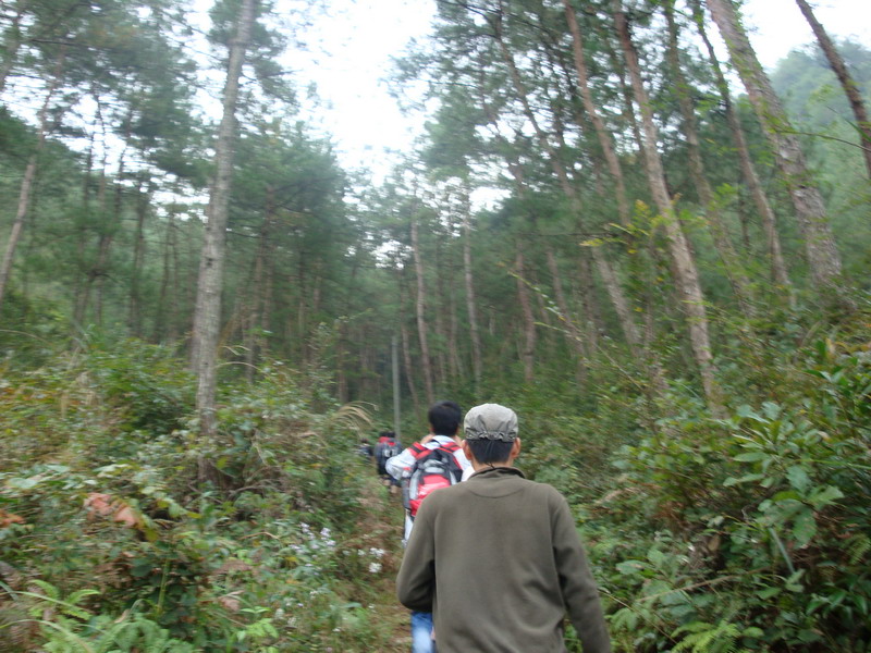 10月19日穿越紫凝山