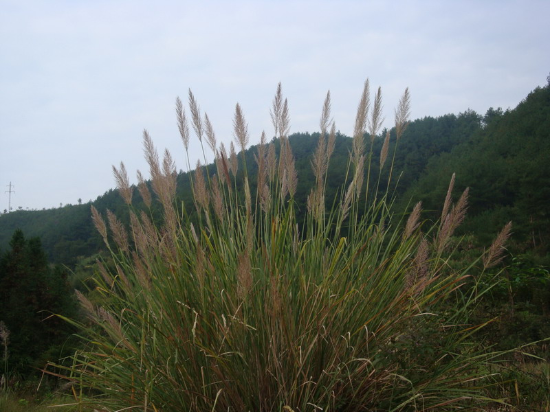 10月19日穿越紫凝山