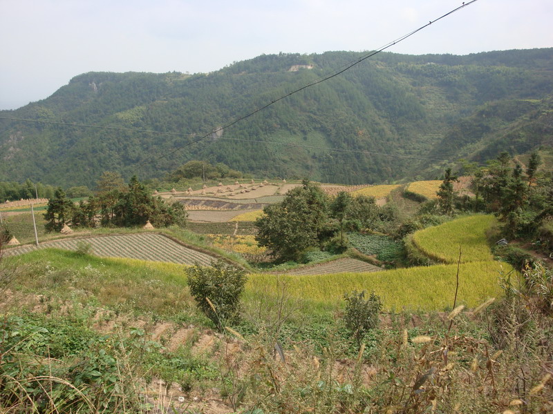 10月19日穿越紫凝山