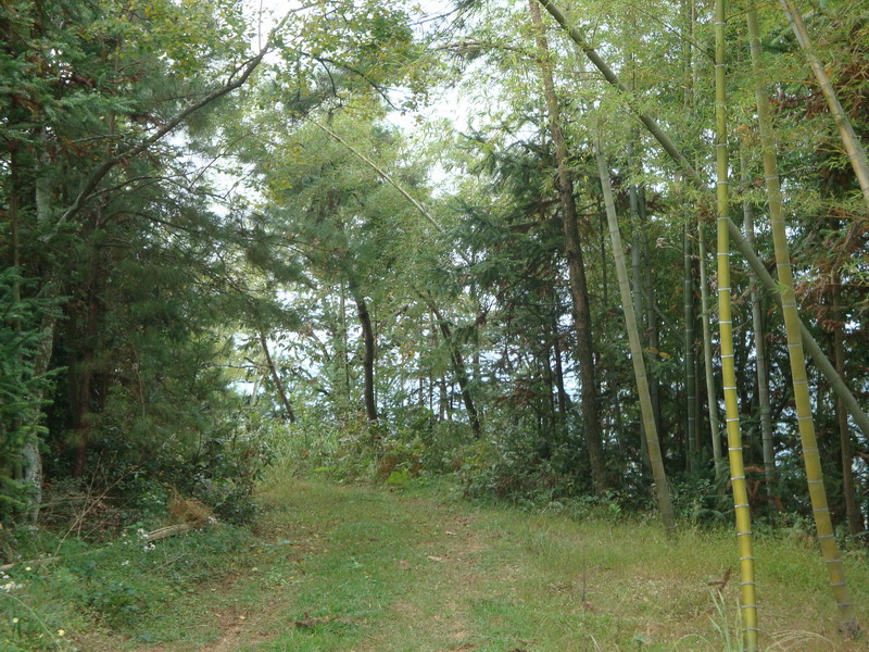 10月19日穿越紫凝山