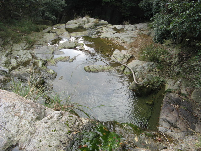 偶的08驴程(10.18~19龙潭—东海云顶—桃花坑)