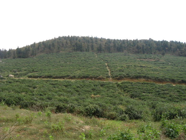 偶的08驴程(10.18~19龙潭—东海云顶—桃花坑)