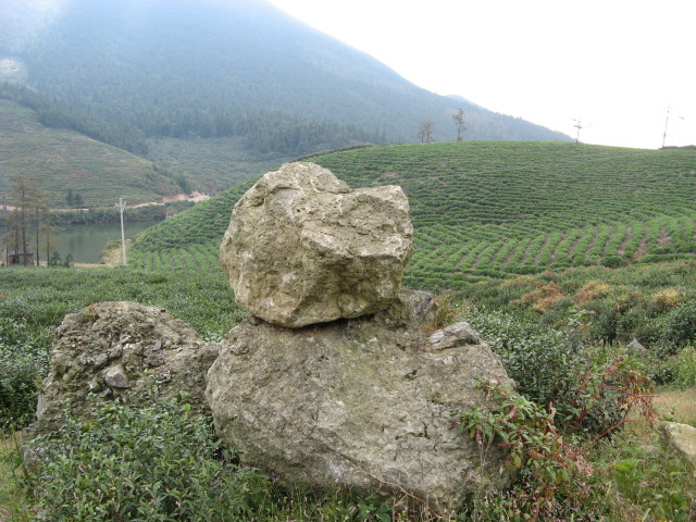 偶的08驴程(10.18~19龙潭—东海云顶—桃花坑)