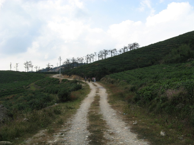 偶的08驴程(10.18~19龙潭—东海云顶—桃花坑)