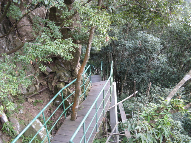 偶的08驴程(10.18~19龙潭—东海云顶—桃花坑)