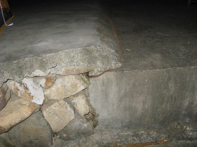 10月18日~19日龙潭—东海云顶—桃花坑(第3~5页)