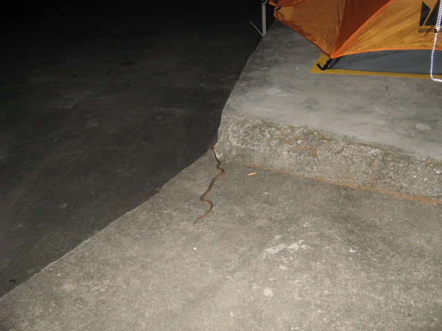 10月18日~19日龙潭—东海云顶—桃花坑(第3~5页)