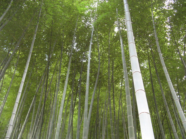 10月18日~19日龙潭—东海云顶—桃花坑(第3~6页)