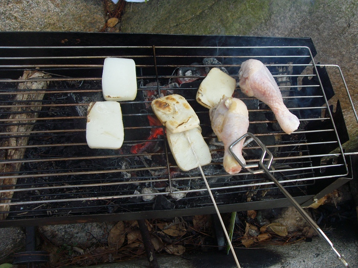 [天台驴友俱乐部]活动之____仙浴潭大型烧烤野餐活动
