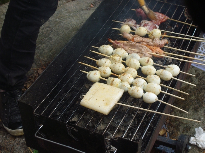 [天台驴友俱乐部]活动之____仙浴潭大型烧烤野餐活动