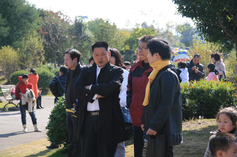 回归林活动的天台之窗戏迷们