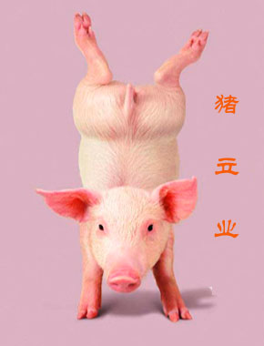 不回贴勿进