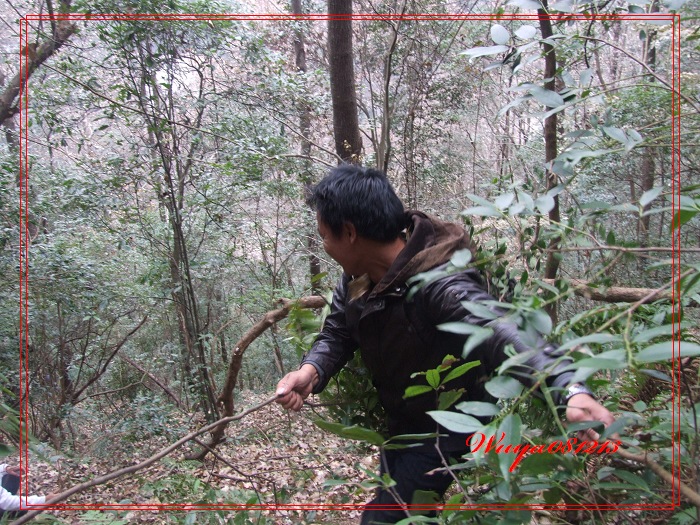 [天台驴友俱乐部]活动之------浙东大峡谷顺利归来!