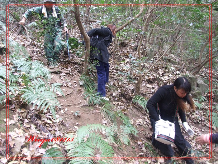 [天台驴友俱乐部]活动之------浙东大峡谷顺利归来!