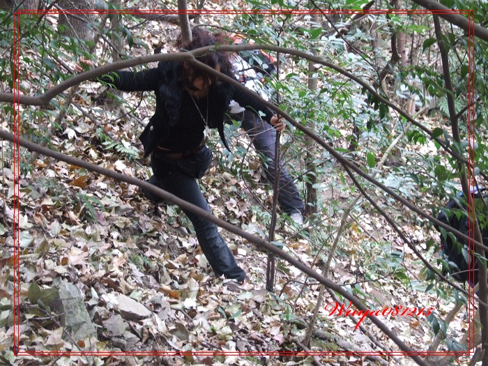 [天台驴友俱乐部]活动之------浙东大峡谷顺利归来!