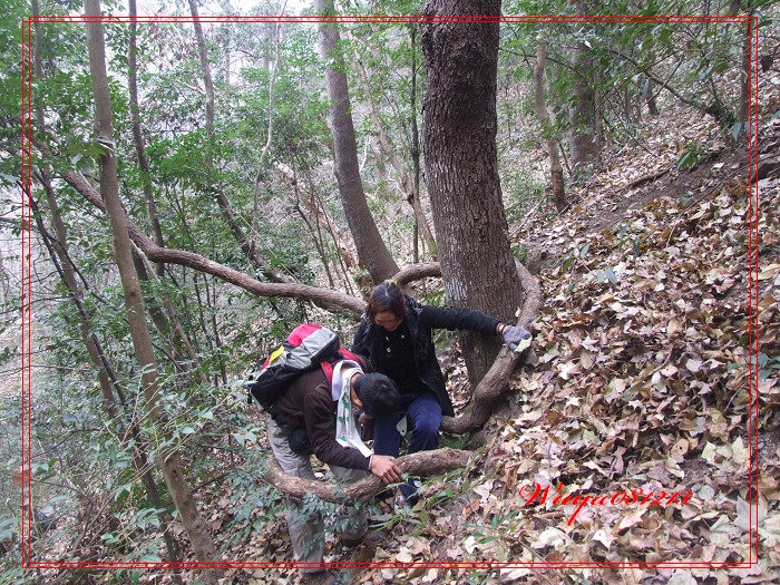 [天台驴友俱乐部]活动之------浙东大峡谷顺利归来!