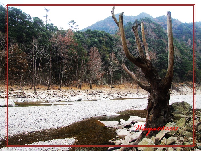 [天台驴友俱乐部]活动之------浙东大峡谷顺利归来!