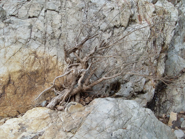 [天台驴友俱乐部]活动之------浙东大峡谷顺利归来!