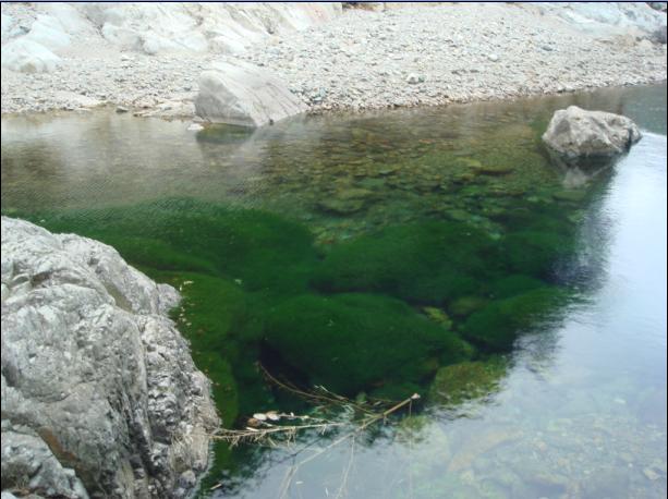 [天台驴友俱乐部]活动之------浙东大峡谷顺利归来!