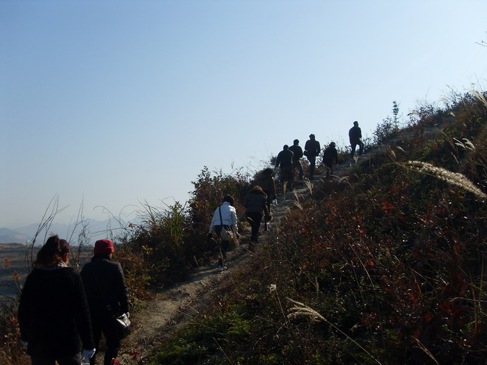 [原创]爬光秃秃的毛草山________吃火辣辣的酸菜鱼________摘铁蒂青的金橘子