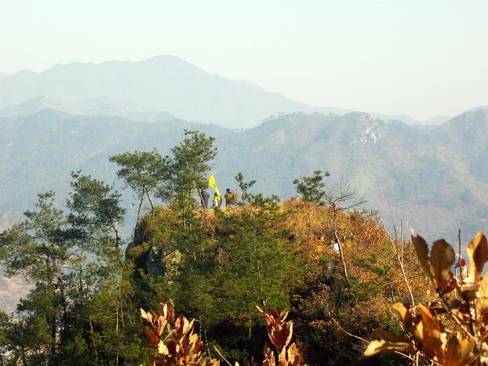 [原创]爬光秃秃的毛草山________吃火辣辣的酸菜鱼________摘铁蒂青的金橘子