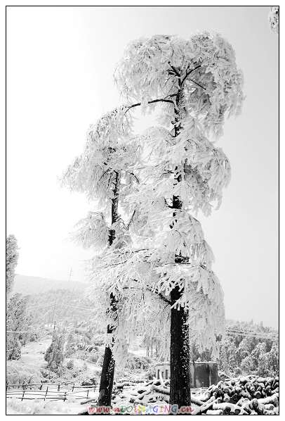 ［天台山雪景］原创
