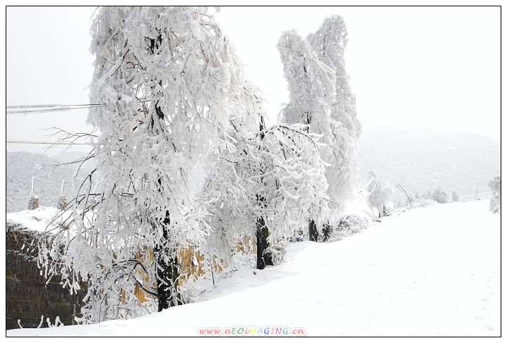 ［天台山雪景］原创