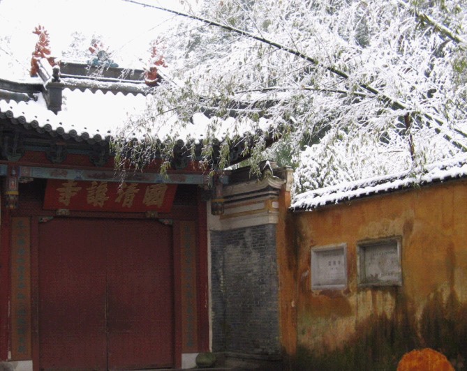 雪飘国清