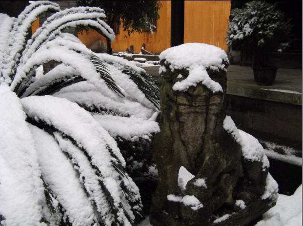 雪飘国清