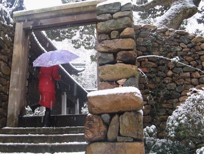 雪飘国清