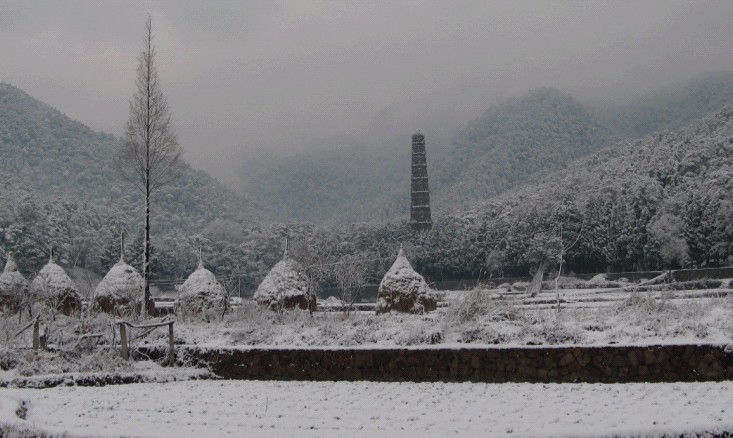 雪飘国清