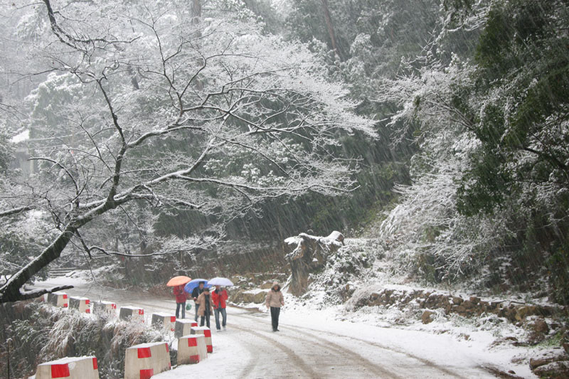 2，2号天台的雪