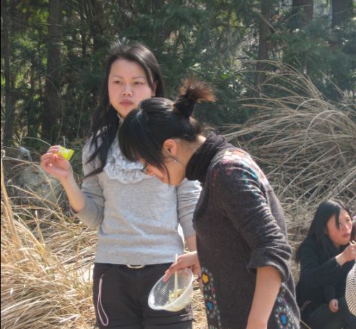 2008年3月2日.九遮山野炊照片..
