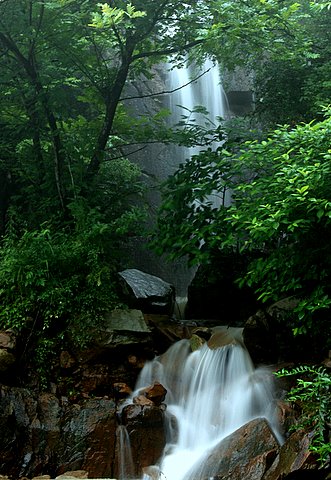 雨后小景