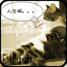 谁来帮帮我!