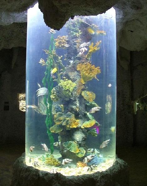 …………海洋馆次卡，年卡……………