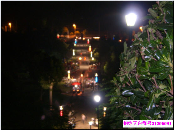 回归林夜景