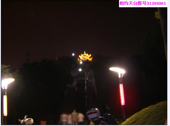 回归林夜景