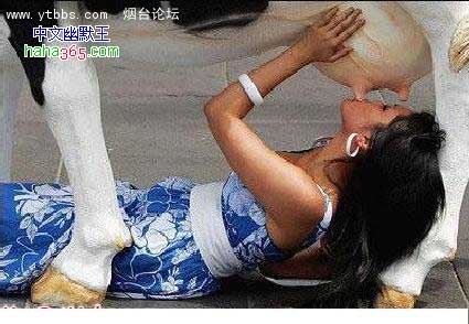 不强悍的图一般不发