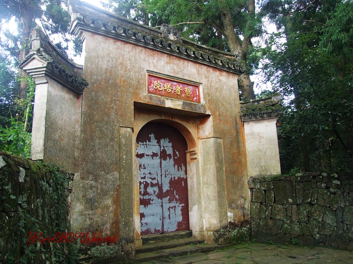 塔头高明二人行