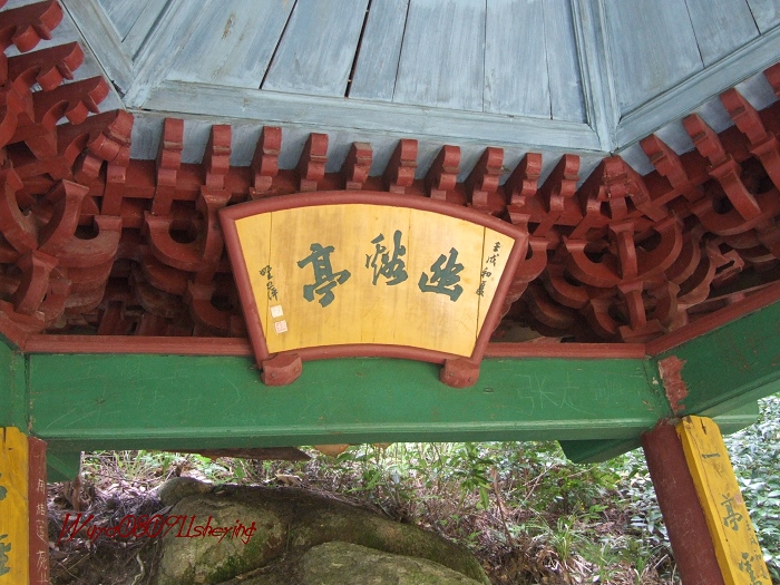 塔头高明二人行