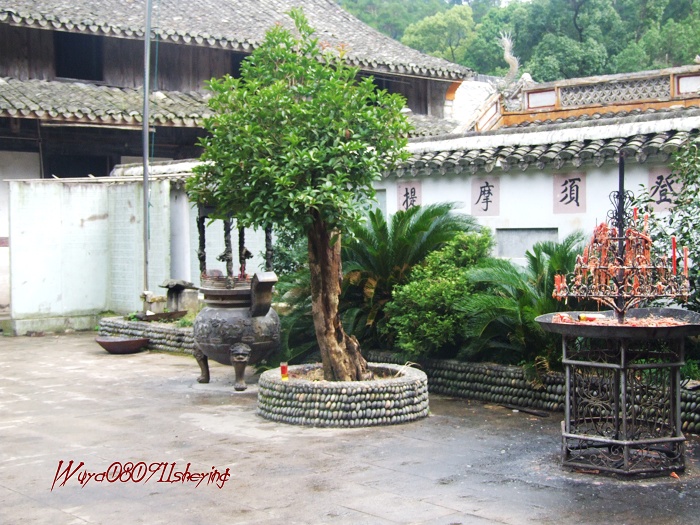 塔头高明二人行