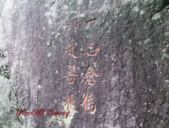 塔头高明二人行