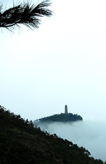台风带来的几张片片