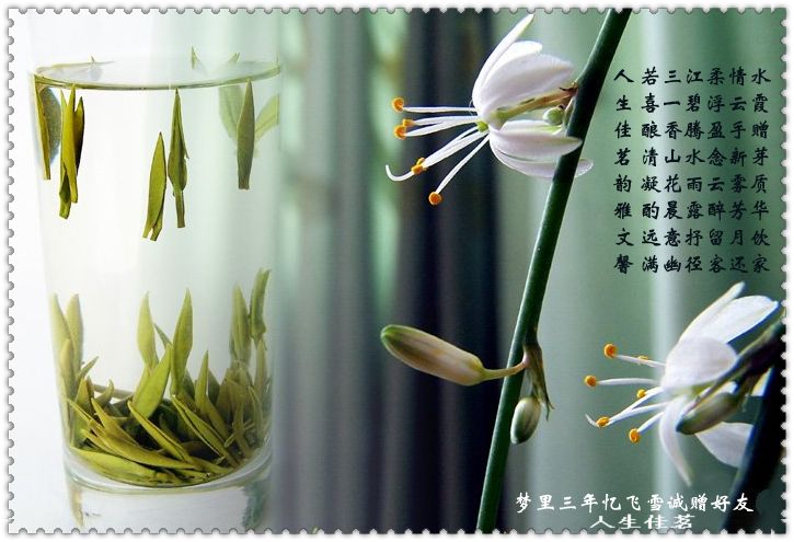 朋友,我远远的看着你们............这也是一种无法言语的开心