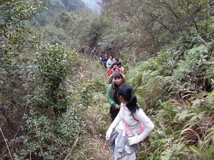 [天台驴友俱乐部]活动之____暴走坝头－漯溪－龙头颈－太平－国清寺
