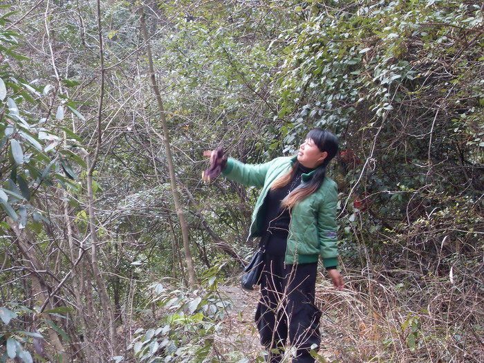 [天台驴友俱乐部]活动之____暴走坝头－漯溪－龙头颈－太平－国清寺