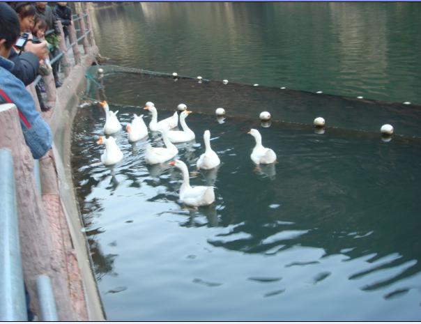 [天台驴友俱乐部]___休闲活动剪影