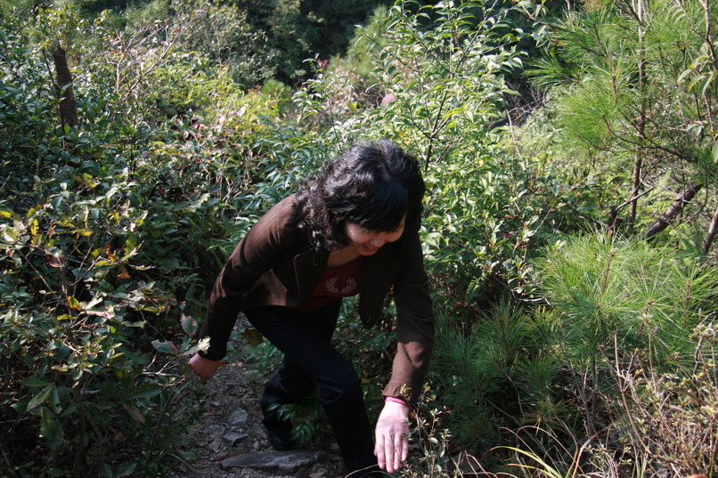 天台驴友俱乐部一周年重走九龙潭